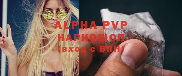 стафф Алзамай