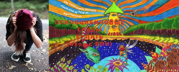 MDMA Premium VHQ Алексеевка