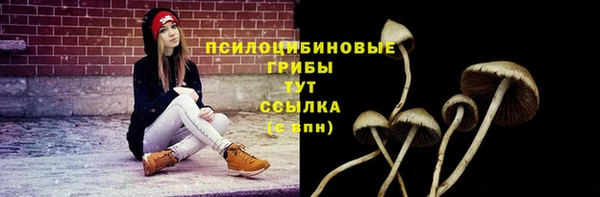соль курить ск Алексин