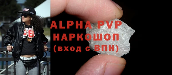 прущие грибы Елабуга