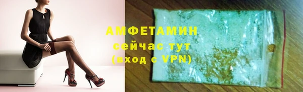стафф Алзамай