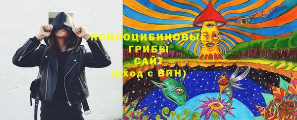 стафф Алзамай