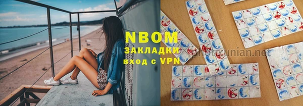 стафф Алзамай