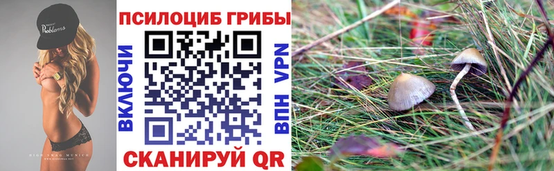 Псилоцибиновые грибы мухоморы  Андреаполь 